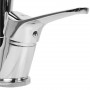 Mixer tap Kitchen Sink with Adjustable Dispensing